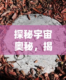 探秘宇宙奥秘，揭示生命进化的秘密——《万灵山海之境飞升》再现神秘天界奇境