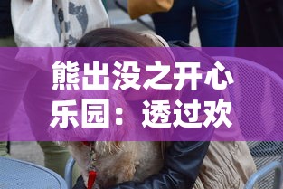 熊出没之开心乐园：透过欢笑与泪水揭示友谊与团队合作的重要性