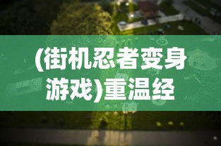 详解智夺军旗攻略大全：如何巧妙布阵抢单位，精准把握对方弱点制胜关键