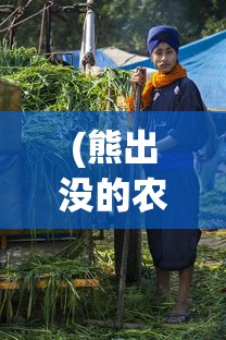 (熊出没的农场游戏)探秘熊出没农场MOD菜单：最新版更新细节解析及体验感受分享