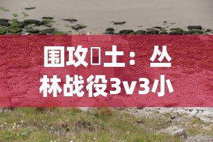 挖掘刀剑缥缈录小程序的互动特性：以角色养成和积分系统为突破口的用户体验优化策略