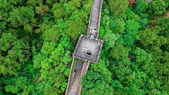 探索未知的战场：《荒野国度》公测日期揭秘，玩家们的期待即将燃烧到整个冒险世界