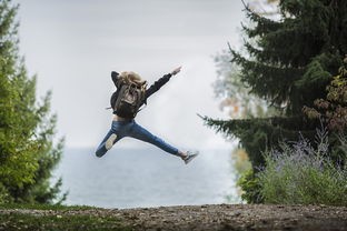 怪猎月之国度：探寻神秘生物、解锁隐藏剧情，探索奇幻世界的冒险之旅