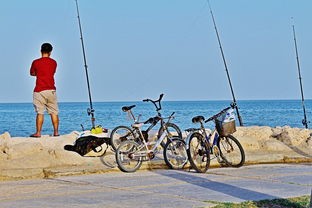 (钓鱼大对决玩法)钓鱼大对决新国服：谁能在钓鱼技术比拼中脱颖而出？