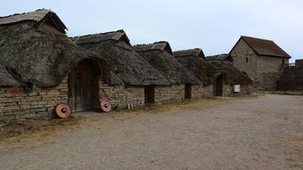 (病病神社建造中免广告)病病神社建造中遇阻，为何看不了广告？解析神秘之谜！