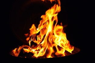 (大帝师小说)大帝叫我师尊陆长生动漫合集深度解析与探讨
