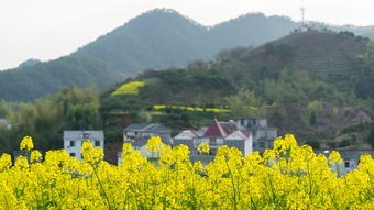 (执剑江湖现在改名了吗最新消息)执剑江湖改名背后，探寻网络文学的新动向