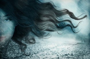 (领主之兵 小说)领主之兵，历史与现实的碰撞