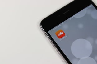 (江西人社app安装到手机)探究手机应用安装后的使用体验与优化策略