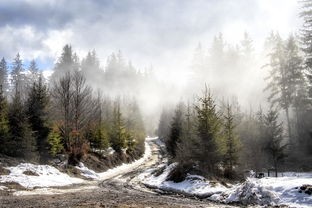 (挨饿荒野罗马尼亚高山攻略隐藏)罗马尼亚高山挨饿荒野攻略，挑战与探索之旅
