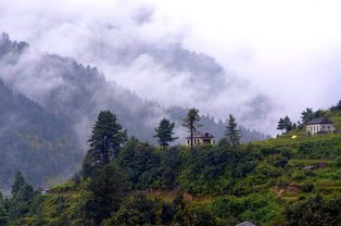 (风林火山粤语高清在线)风林火山粤语，探寻地域文化的独特魅力