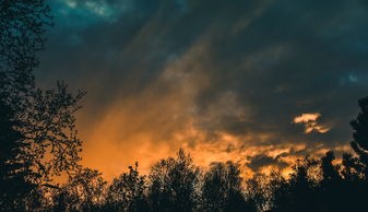 (风暴雷霆战机7723)风暴雷霆战机，空中霸主的未来战记